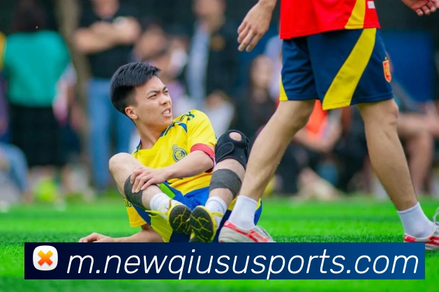 球速体育平台生态图