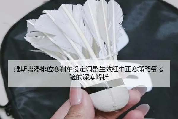 维斯塔潘排位赛刹车设定调整生效红牛正赛策略受考验的深度解析
